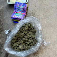 Quarter Brick | NEW INSTAGRAM @ALLOFMYOPPSAREDEAD