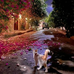 تخلَّصْ من اليأس