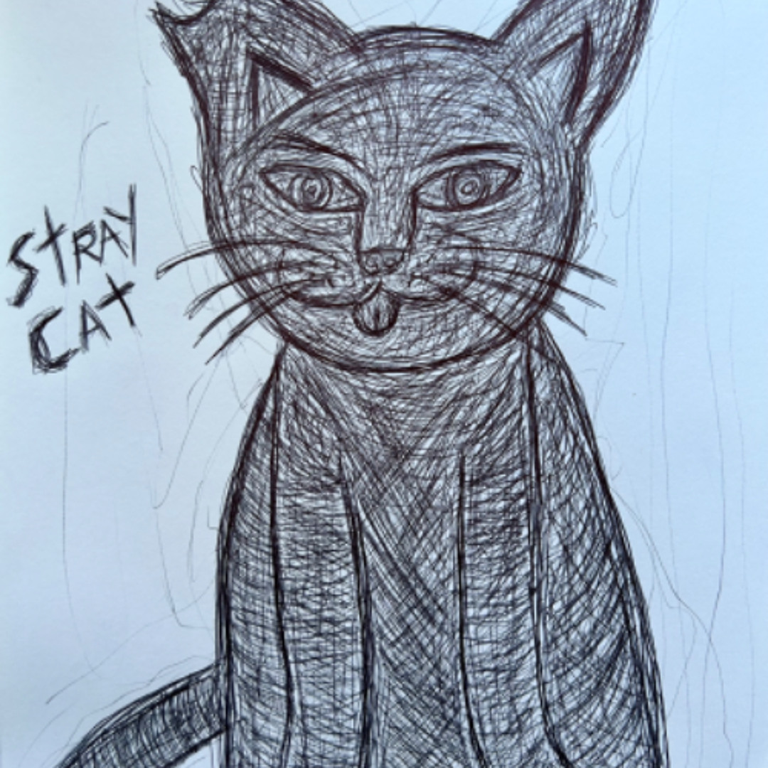 Stray Cat