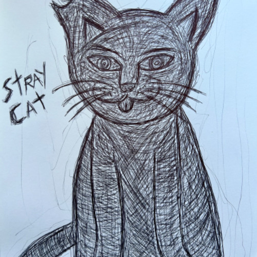 Stray Cat