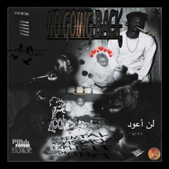 NEXT UP FT JOHNNY-K (PROD RO$EGOLD)