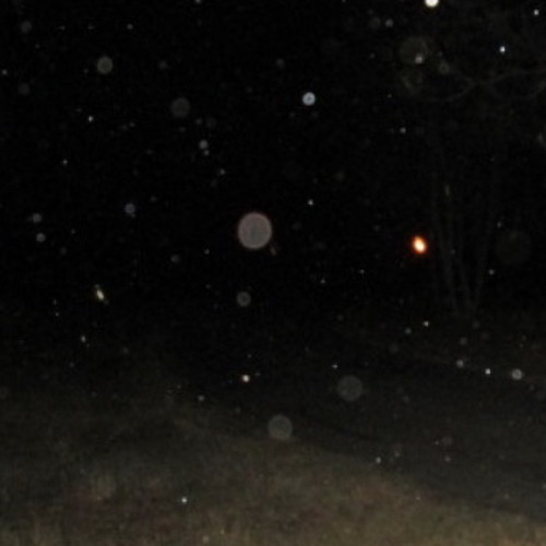 UNKNOWN ARTIST - ROB (PROD MANSON MANE)