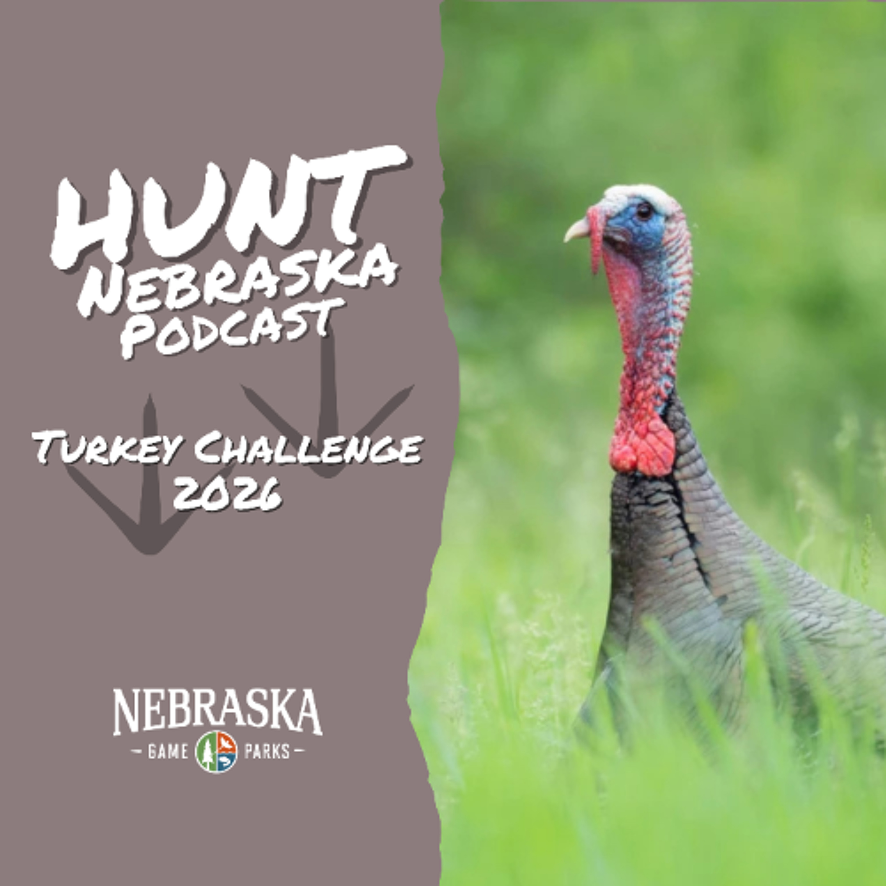 Turkey Challenge 2026