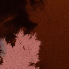 can't wait to take my fucking life