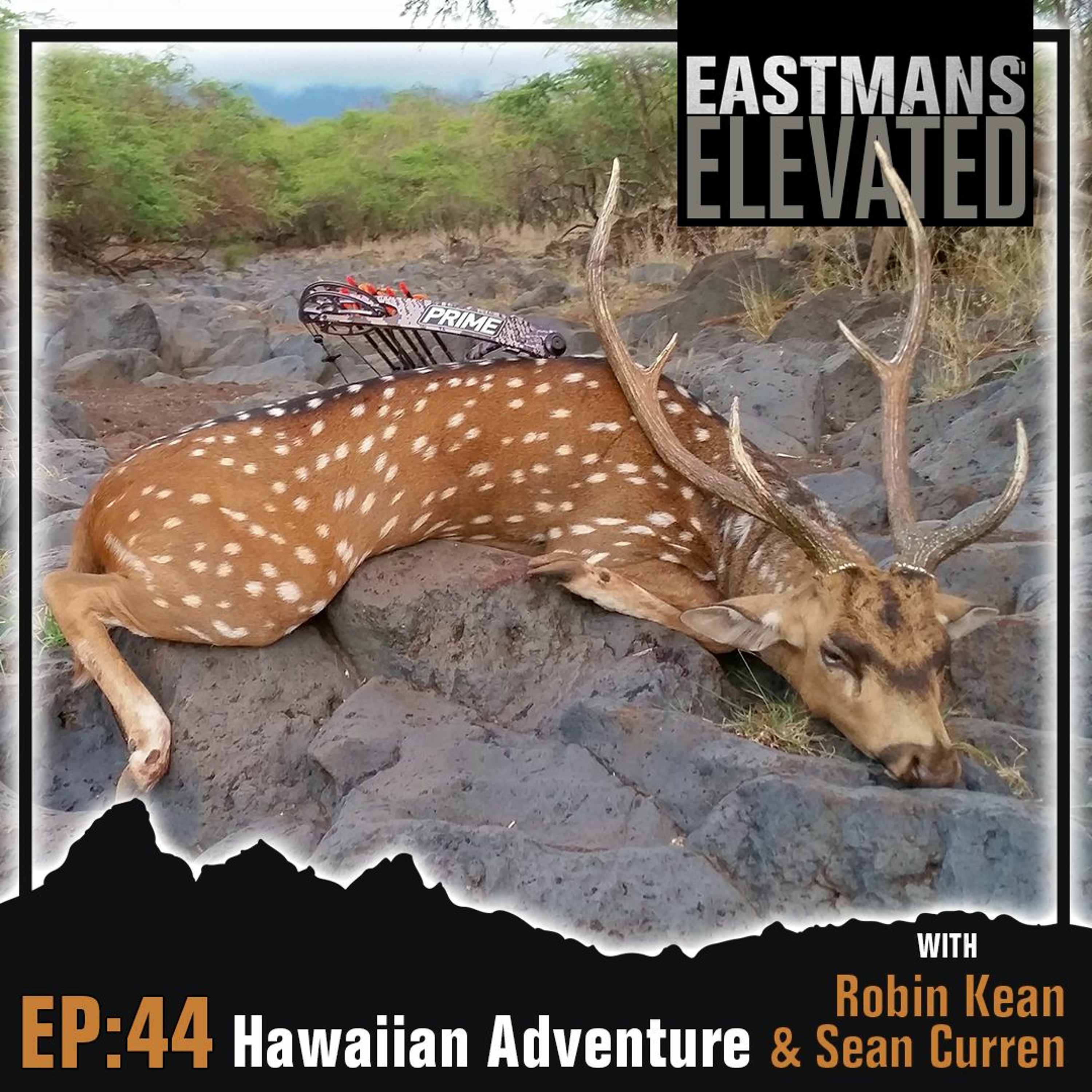 Eastmans\' Elevated