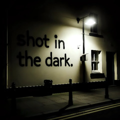 Shot in the Darkness dj Darkcontroller RMX by Mikey Damp