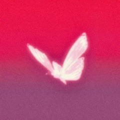 sight