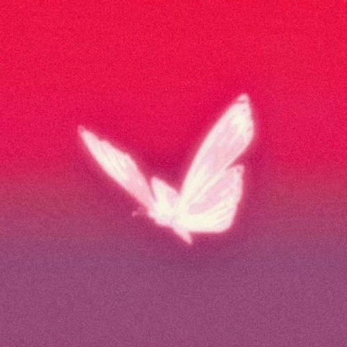 sight