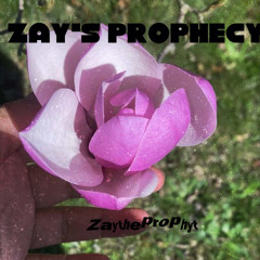 ALL BLACK SUBIE -Zaytheprophyt X FRAYYED (P.BENJAMMIN)