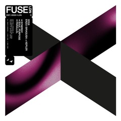 PREMIERE: Enzo Siragusa & Kepler - Synergy