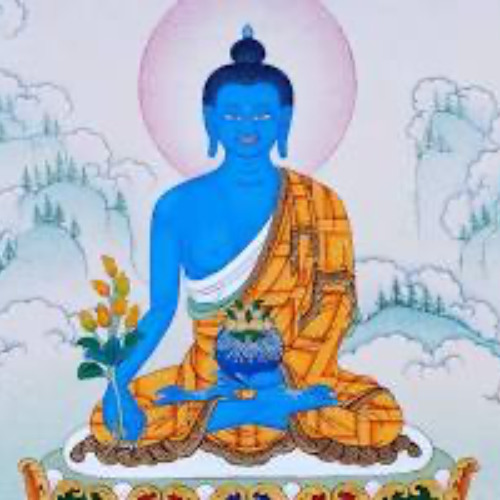 Rlung Stream episode Six Characteristics of rLung 2 by Sowa Rigpa Institute ...