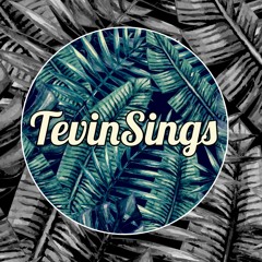 Love And War In Your Twenties Cover by Tevin