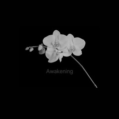 Awakening -  Mastered in Spectral (Dolby Atmos)
