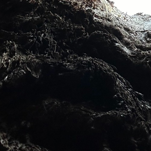 say it is (prod. by dash)