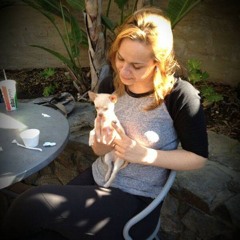 Freestyle Royal Canin