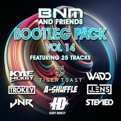 BNM & Friends 14 - Bootleg/Mashup/Edit Pack - 25 Tech House, Electro House, Deep House Tracks
