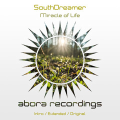 Miracle of Life (Extended Mix)