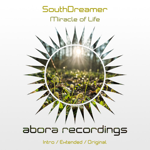 Miracle of Life (Extended Mix)