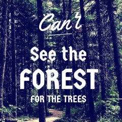 FOREST4DaTreez (Prod. MadHops) instrumental