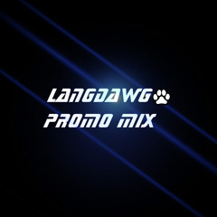 LANGDAWG PROMO MINI MIX