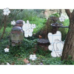 Photo (3vergard + takawaka)