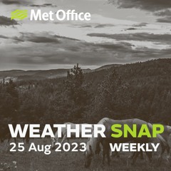 25 Aug Weather Snap