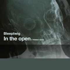 In the Open (Hidden Remix)