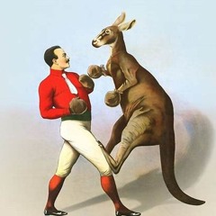 Boxing Kangooroos