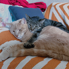 mmmm smells like badussy