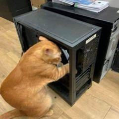 Windows crashes funk
