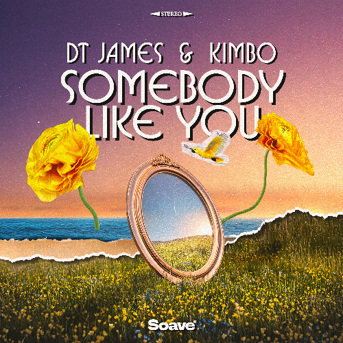 DT James & Kimbo - Somebody Like You