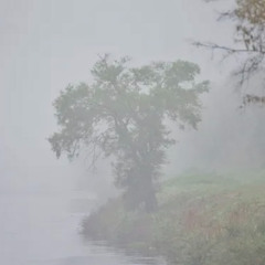 naturescape - calm thunder