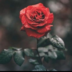اغنية_اه_منك_يا_غالي_بتمشي_في_خيالي___اغاني_2019___محمد_مختار___اغانى_حزينه_.mp3