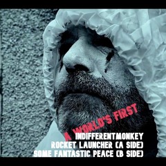 Some Fantastic PEACE (B SIDE)