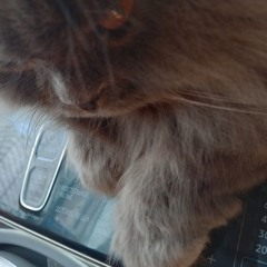 Dave Porter - Ambivalent Alaska