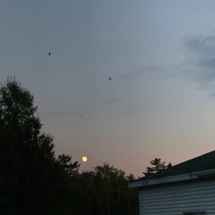 the girl - city and colour