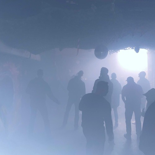 Sebastian Keks - gepflegtes klopfen - 08.02.25 - Kamo