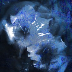 POISON w/ unfortunatelyfallen