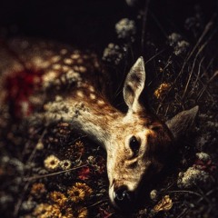 Schizophoria - InnocenceLost  / Unlovable (sorrowbringer)