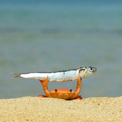 Aquarium(feat.심영현,J)
