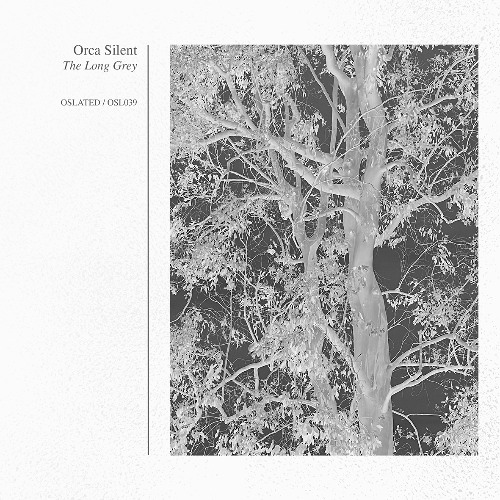 Indefinite Pitch PREMIERES. Orca Silent - Skeena Cold [Oslated]