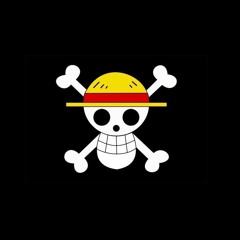 Mugiwara (The Straw Hats Pirates)!