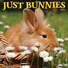 ✔️ [PDF] Download Just Bunnies 2022 Wall Calendar by  Willow Creek Press