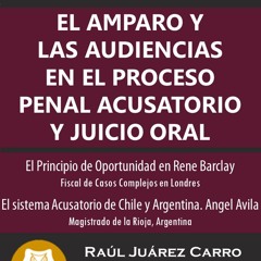 DOWNLOAD/PDF El Amparo y las Audiencias en el Proceso Penal Acusatorio y Juicio Oral