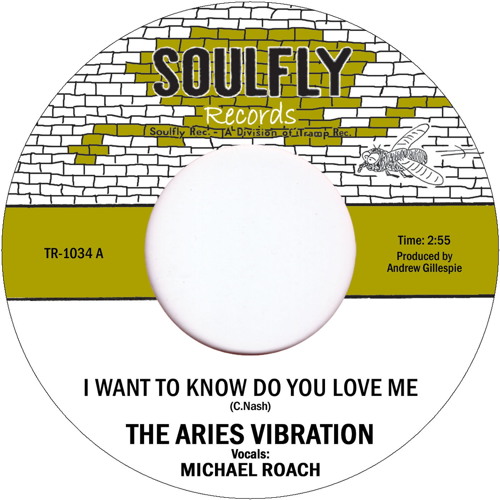 I Want to Know Do You Love Me (Vocal) [feat. Michael Roach]