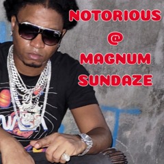 NOTORIOUS @ MAGNUM SUNDAZE