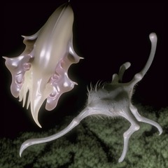 Feel U (ft. plastic pet)