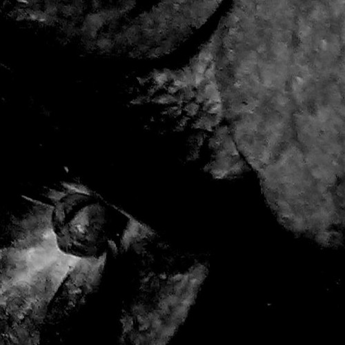 Dark Energy