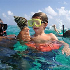 Best Grand Cayman 7 Mile Beach Snorkeling Prices Reviews