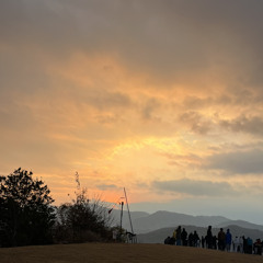 おねがいミルタザピン DEMO